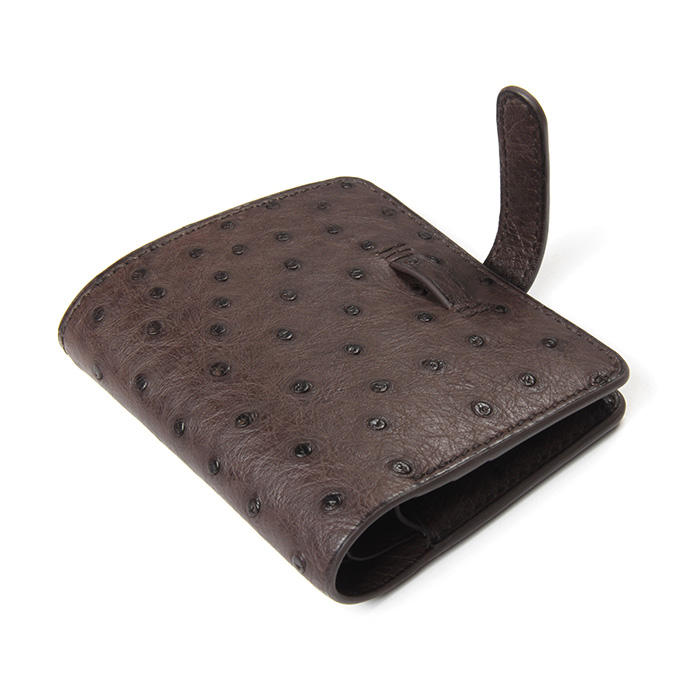 Ostrich-Embossed Leather Coin Purse with Strap Closure
